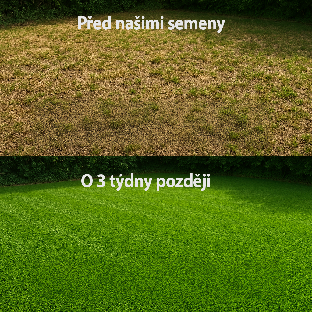 Express Grass Professionnel